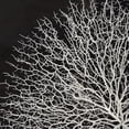 thumbnail image 2 of Zentique White and Black Abstract Branches Square Wall Art Decor 35.5" x 35.5", 2 of 2