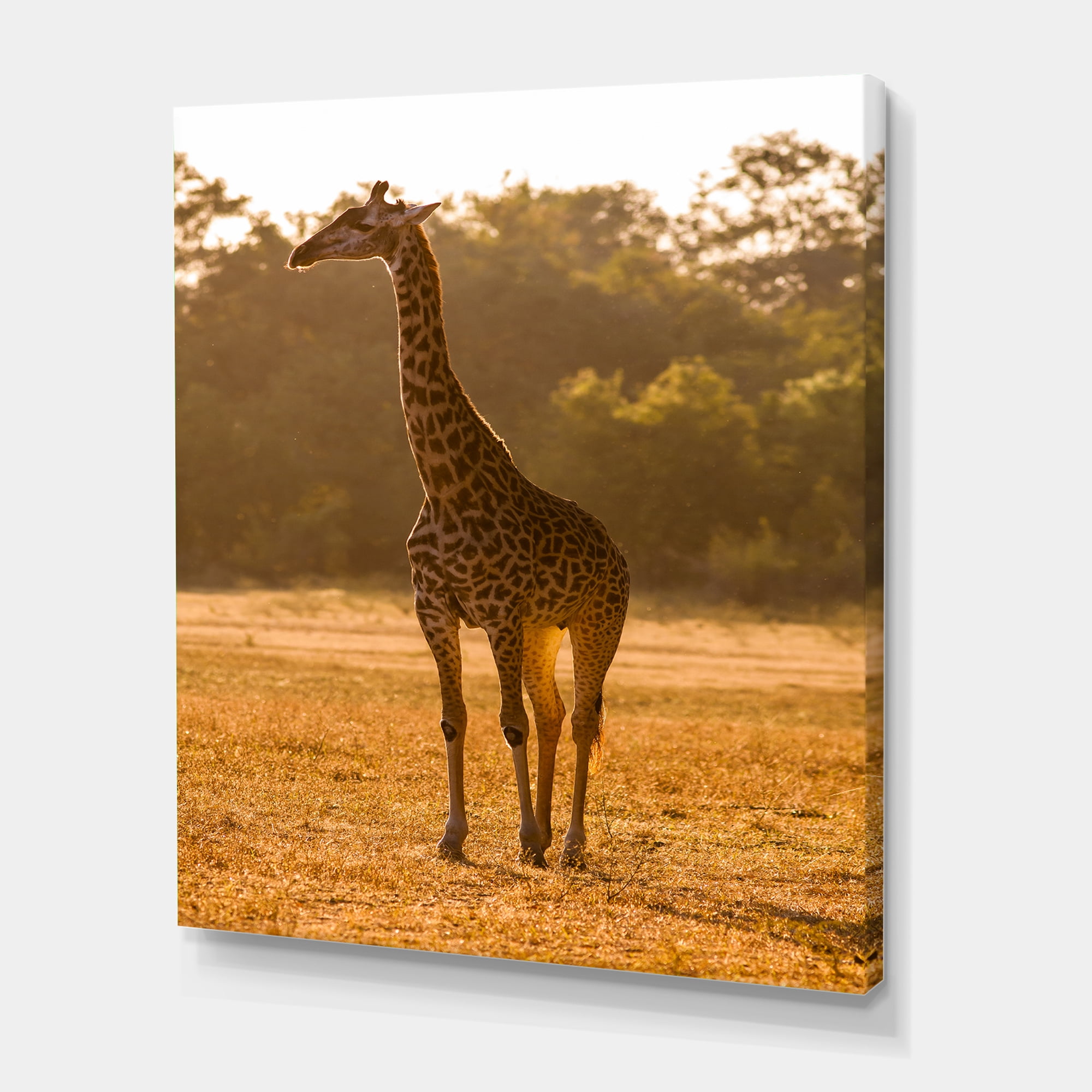African Giraffe In The Wildlife II 12 in x 8 in Photography Canvas Art Print, by Designart