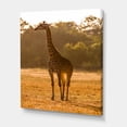 thumbnail image 3 of African Giraffe In The Wildlife II 12 in x 8 in Photography Canvas Art Print, by Designart, 3 of 4