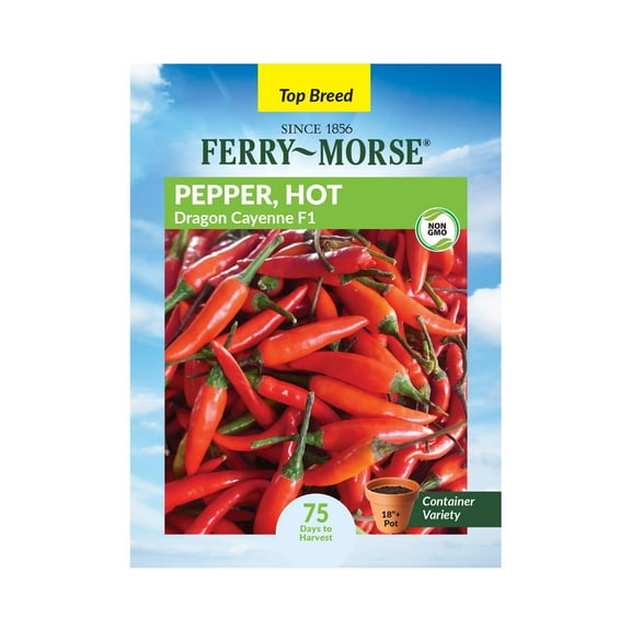 Ferry-Morse 150MG Pepper Dragon Cayenne F1 Annual Vegetable Seeds, Full Sun