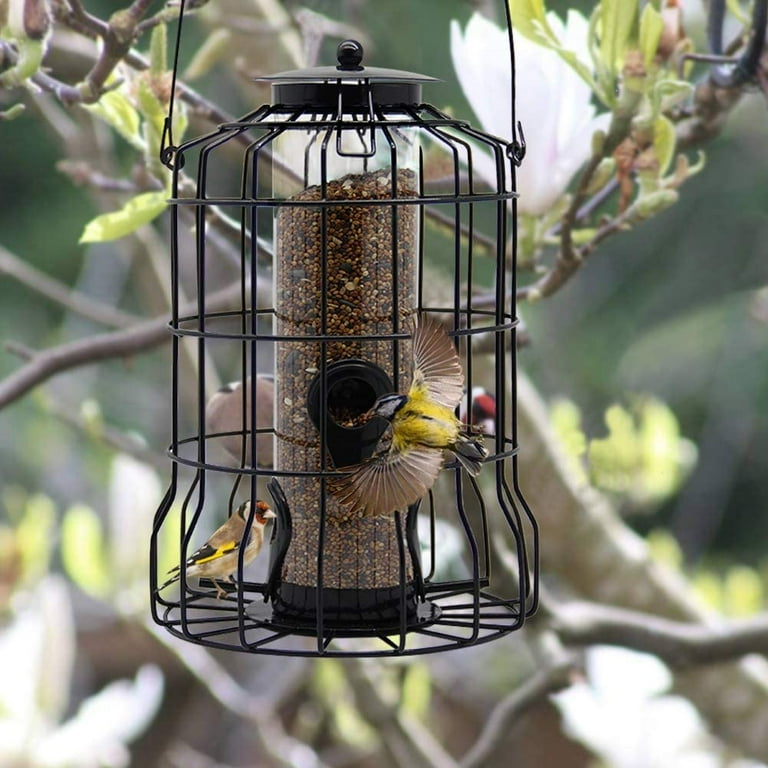 Wild top bird cage