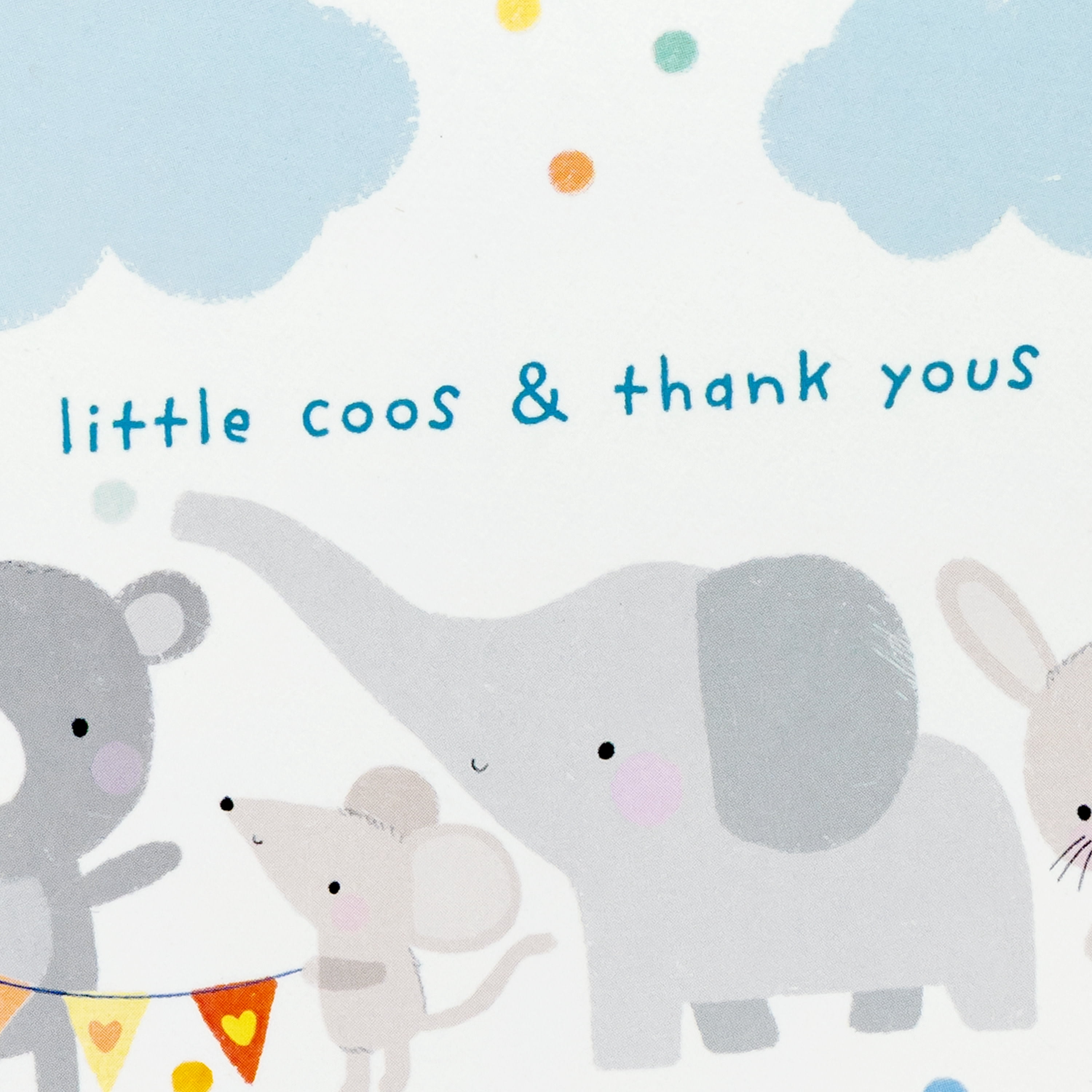 Hallmark Blank Thank You Notes (Baby Animals), 20 Count