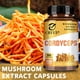 thumbnail image 5 of Extracto de hongo Cordyceps: suplemento cerebral para la memoria, la concentración, el alivio del estrés y un mejor estado de ánimo - 120 cápsulas, 5 of 5