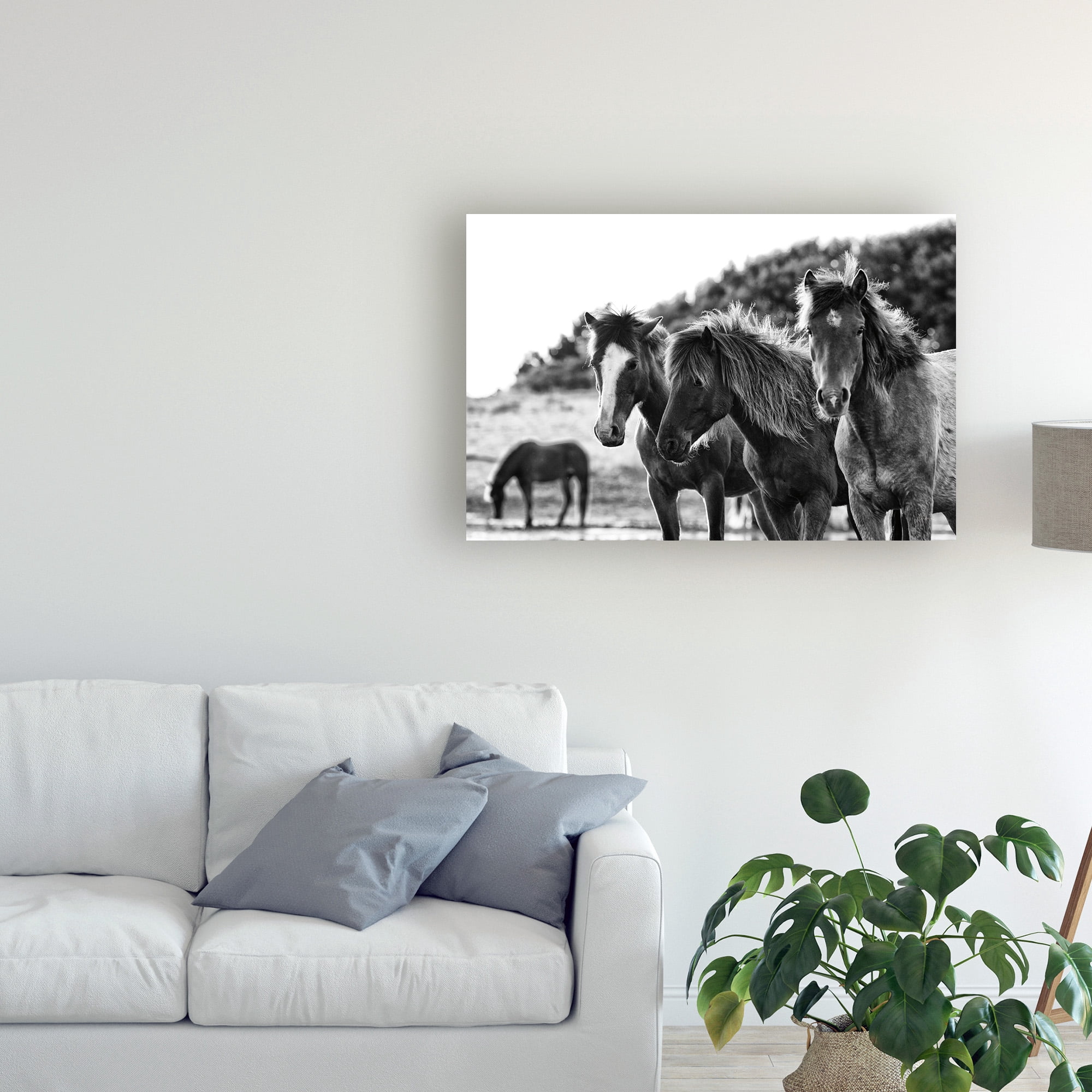 Trademark Fine Art 'Horses Three' Canvas Art by Aledanda