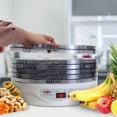 thumbnail image 2 of Total Chef Countertop Food Dehydrator, 5 Tray Dryer for Fruit, Jerky, 2 of 7