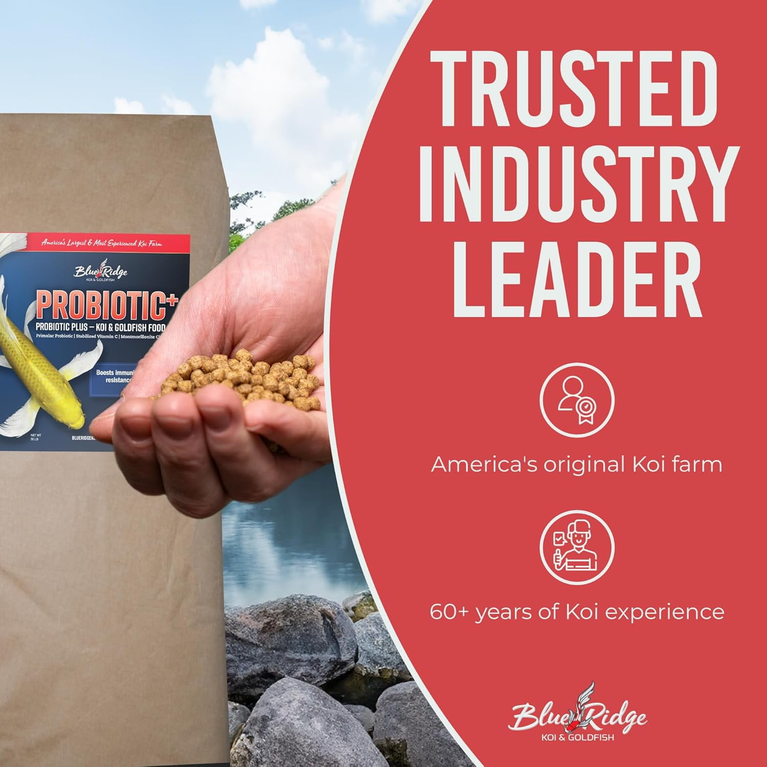 Blue Ridge Koi Fish Food 50lb - Koi Food 3/16” Probiotic Plus, Goldfish Food, Premium Fish Food for Ponds, Ponds Fish Food, Koi Food Fall and Winter Fish Food, Floating Pond Pellets