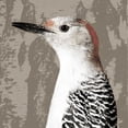 thumbnail image 3 of PI Studio 20x20 Black Modern Framed Museum Art Print Titled - Feathered IV, 3 of 5