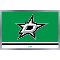 NHL Dallas Stars - Logo 21 Wall Poster, 22.375" x 34", Framed
