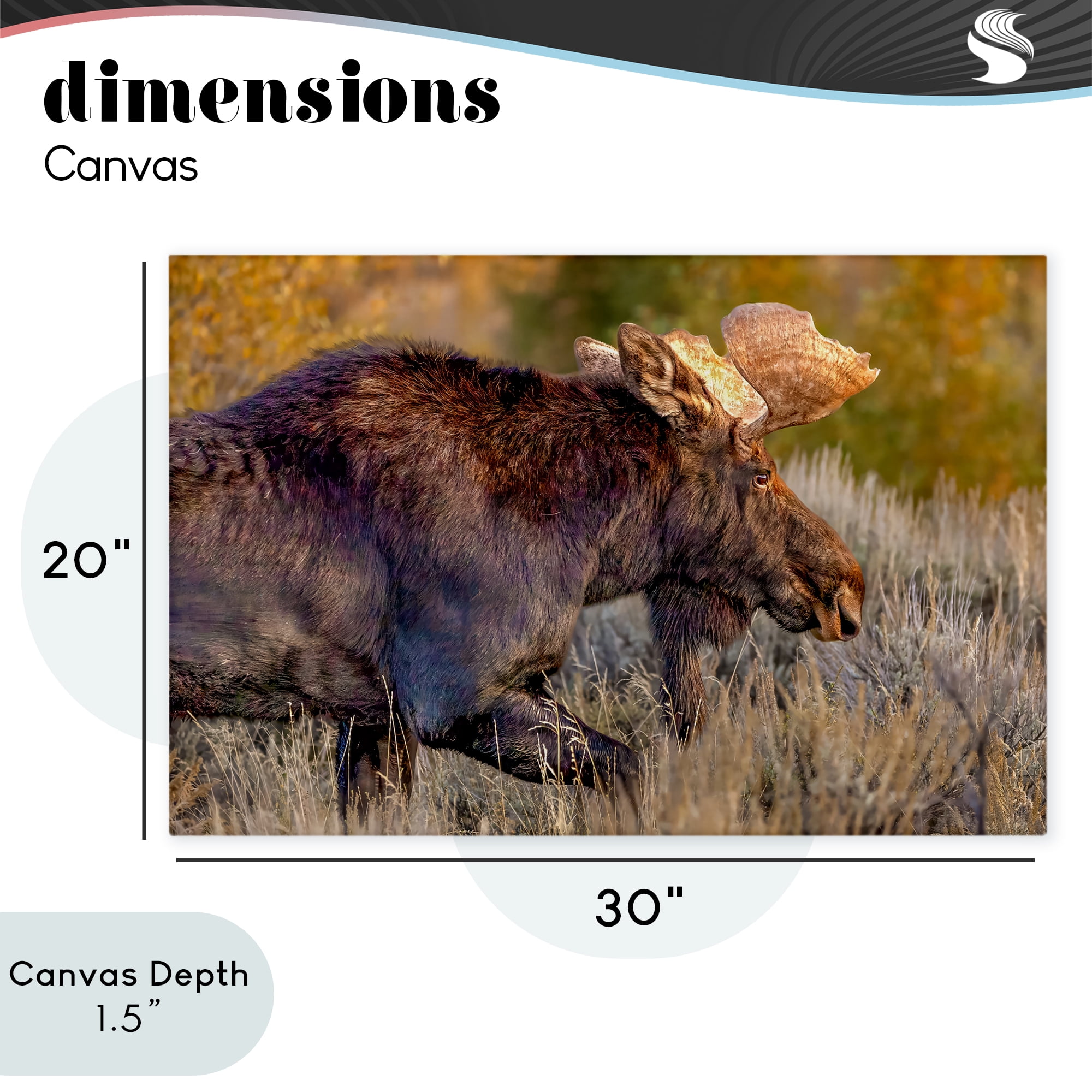 Stupell Industries Bull Moose At Dusk Canvas Wall Art, design by Shelley Carlisle