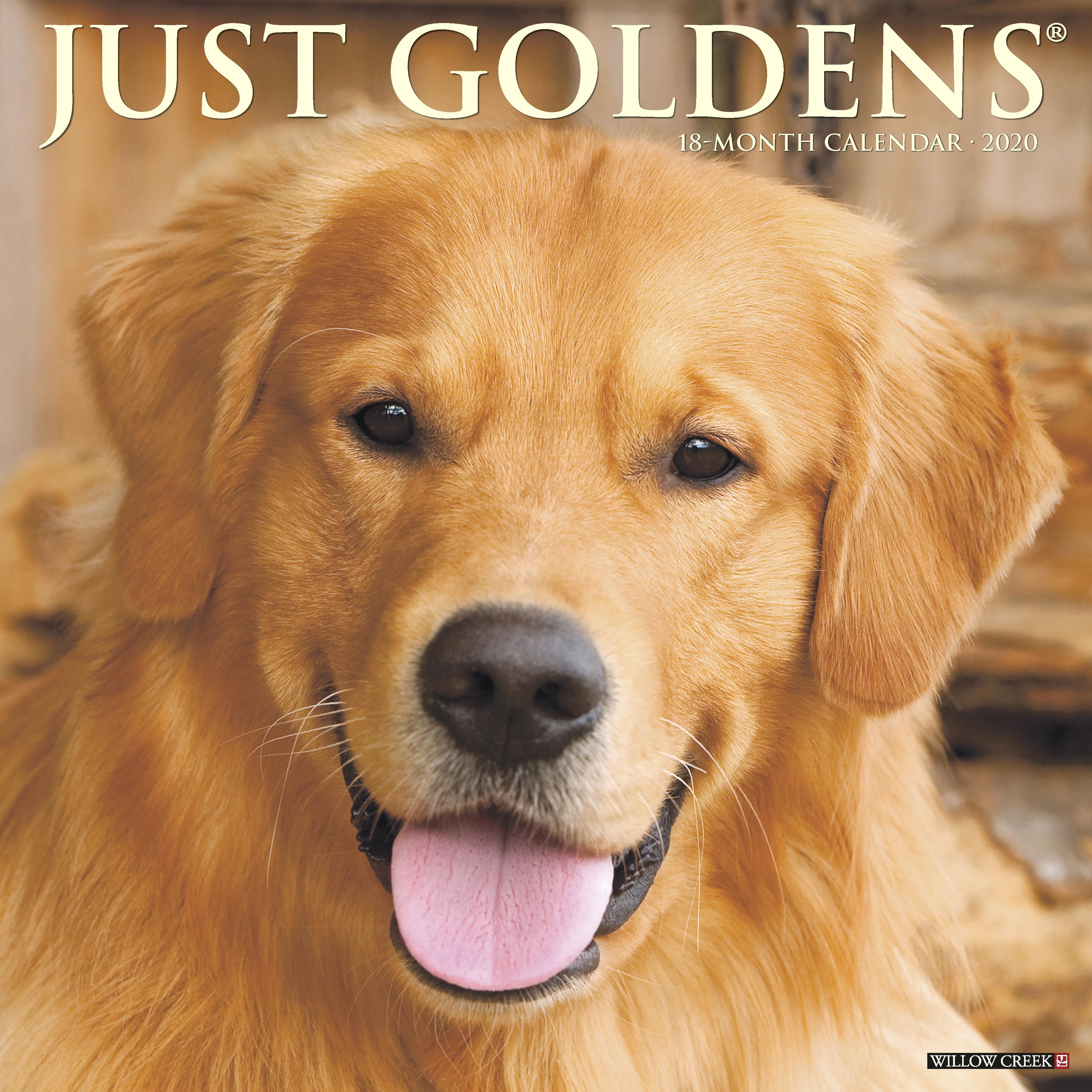 Just Goldens 2020 Wall Calendar (Dog Breed Calendar) (Other)