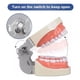 thumbnail image 4 of Medical Modelo De Dientes 32 Dientes Dentales Modelo Dientes, 4 of 6