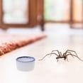 thumbnail image 3 of Miangastore 24pcs Mini Pet Water Bowls Reptile Water Basins Spider Water Containers, 3 of 8
