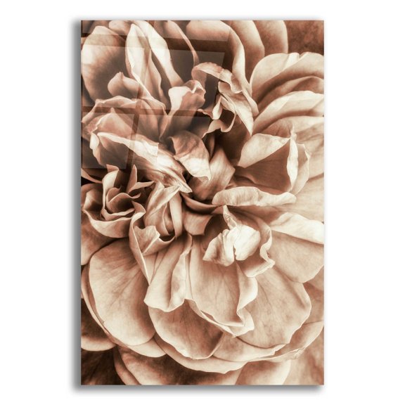 Epic Art 'Flower Bloom 3' by Incado, Acrylic Glass Wall Art, 12"x16"