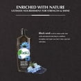 thumbnail image 4 of Dabur Vatika Hair Oil Black Seed Enriched, 4 of 5