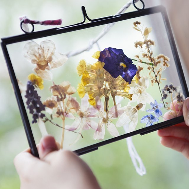 Material de flores secas para bricolaje Flores y hojas secas prensadas reales para manualidades (B) JShteea Libre de BPA