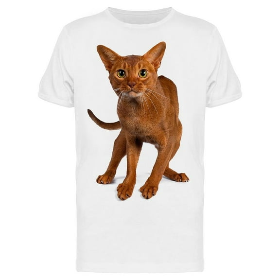 A Young Abyssinian Kitten T-Shirt Men -Image by Shutterstock, Male x-Large