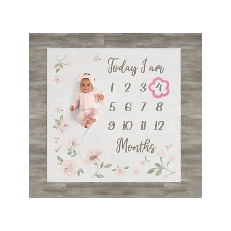 Modern Moments By Gerber Baby Girl Milestone Blanket & Frame Set, 2-Piece, Pink