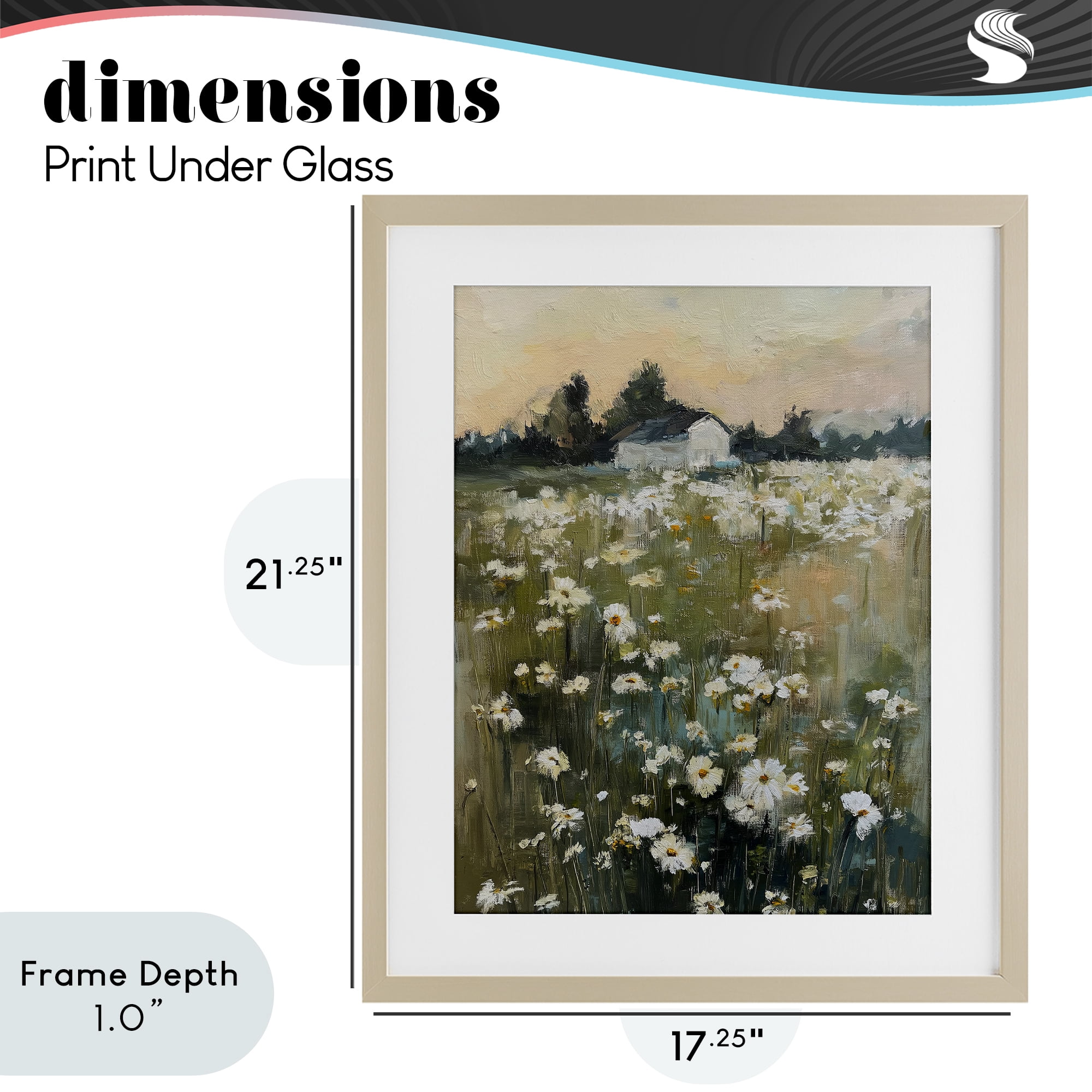 Stupell Industries Expressive Endless Daisies Birch Framed Print Under Glass, design by Svetlana Aleynikova