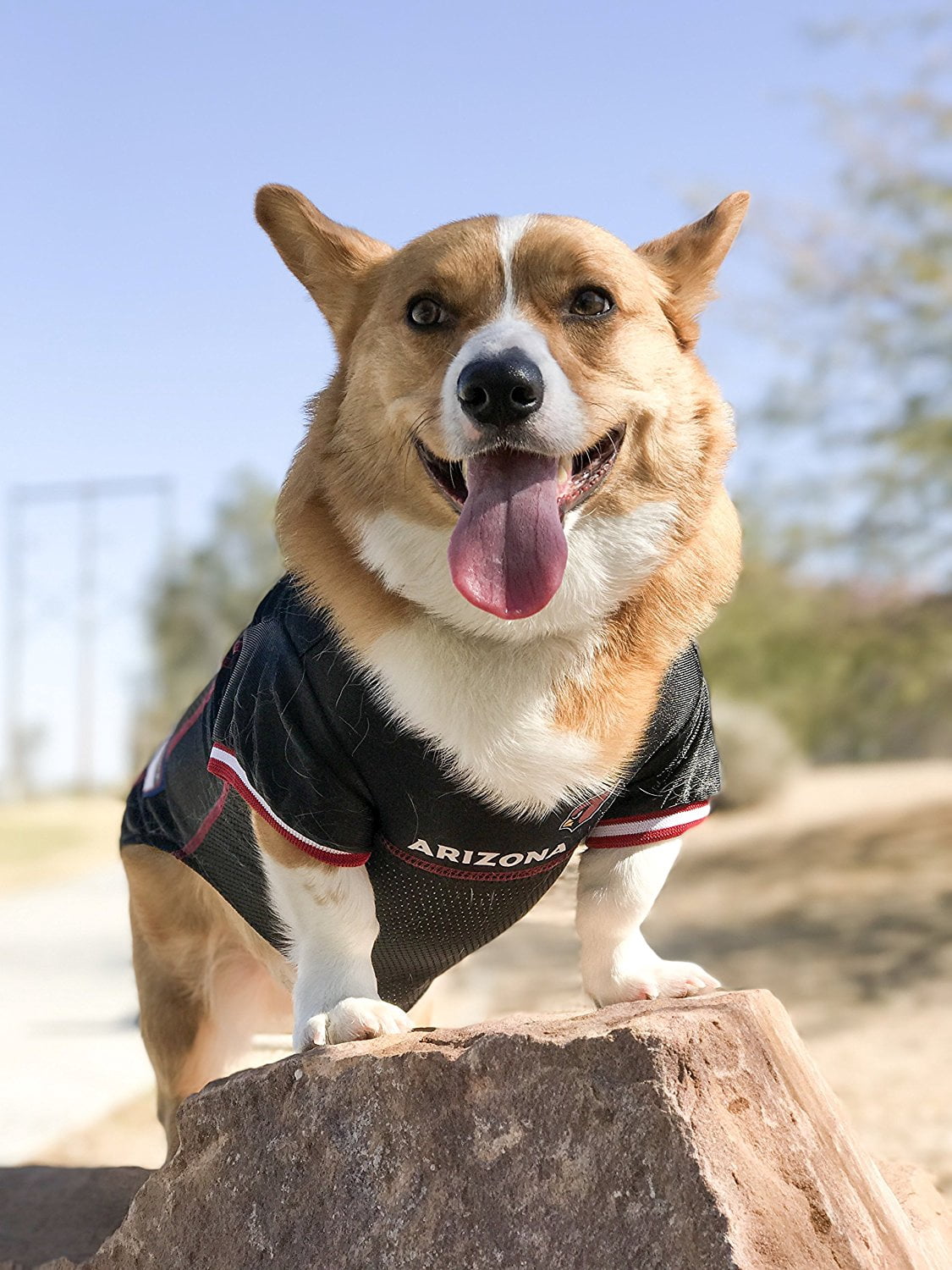 Pets First NFL Arizona CardinalsLicensed Mesh Jersey for Dogs and Cats - Extra Small