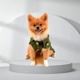 thumbnail image 5 of Gabardina para mascotas para perros pequeños, niña y niño, chaqueta occidental a prueba de viento, ropa de abrigo con cinturón, ropa para perros de otoño e invierno para cachorros (verde), 5 of 5