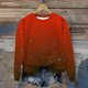 thumbnail image 1 of Ailaofu Women's Crew Neck Sweatshirt Long Sleeve Tops Casual Loose Pullover Sweatshirts, 1 of 6