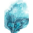 thumbnail image 2 of Vess, June Erica 19x24 White Modern Wood Framed Museum Art Print Titled - Abstract Coral IV, 2 of 4