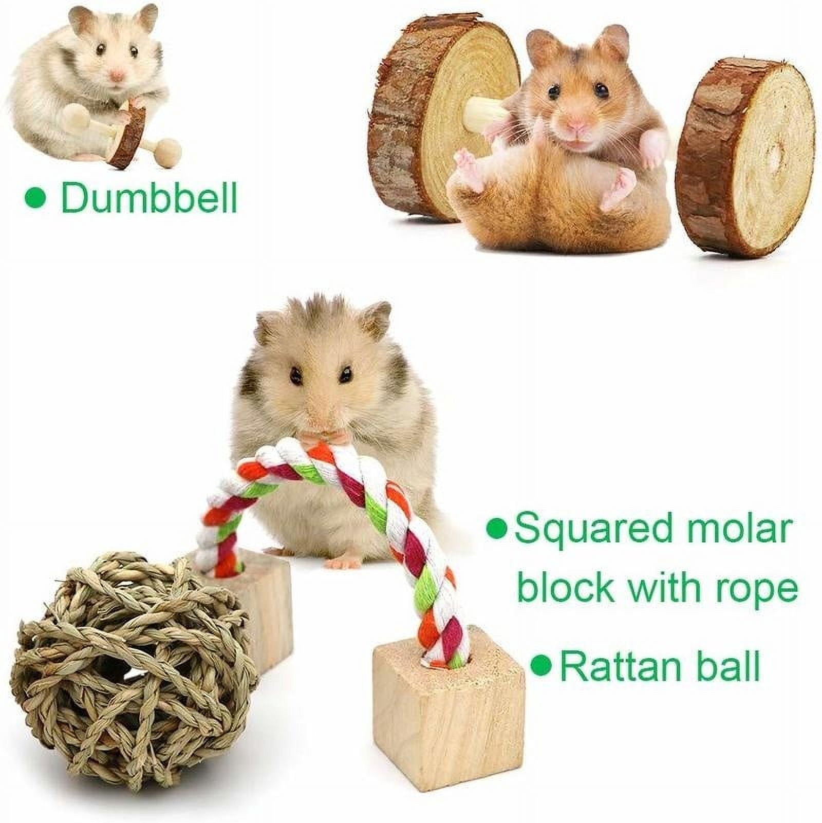 ODOMY 10 Pcs/set Hamster Toy Set Wooden Dumbbells Teeth Care Molar Toy Natural Wooden Exercise Bell Roller Toy