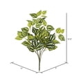 thumbnail image 3 of Vickerman 12.5" Artificial Light Green Spiderwort Bush, Set of 3, 3 of 4