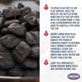thumbnail image 5 of Kingsford 64 oz Charcoal Lighter Fluid, 5 of 9