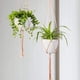 thumbnail image 1 of Planta De Encaje Colgante, Maceta De Encaje Colgante Sling Interior Planta Cuerda De Algodón Sólido Para Balcón Jardín Decoración Interior Exterior Cesta Jardinera, 89 Cm, 105 Cm, 5 Piezas Ormromra YQ-1565, 1 of 4
