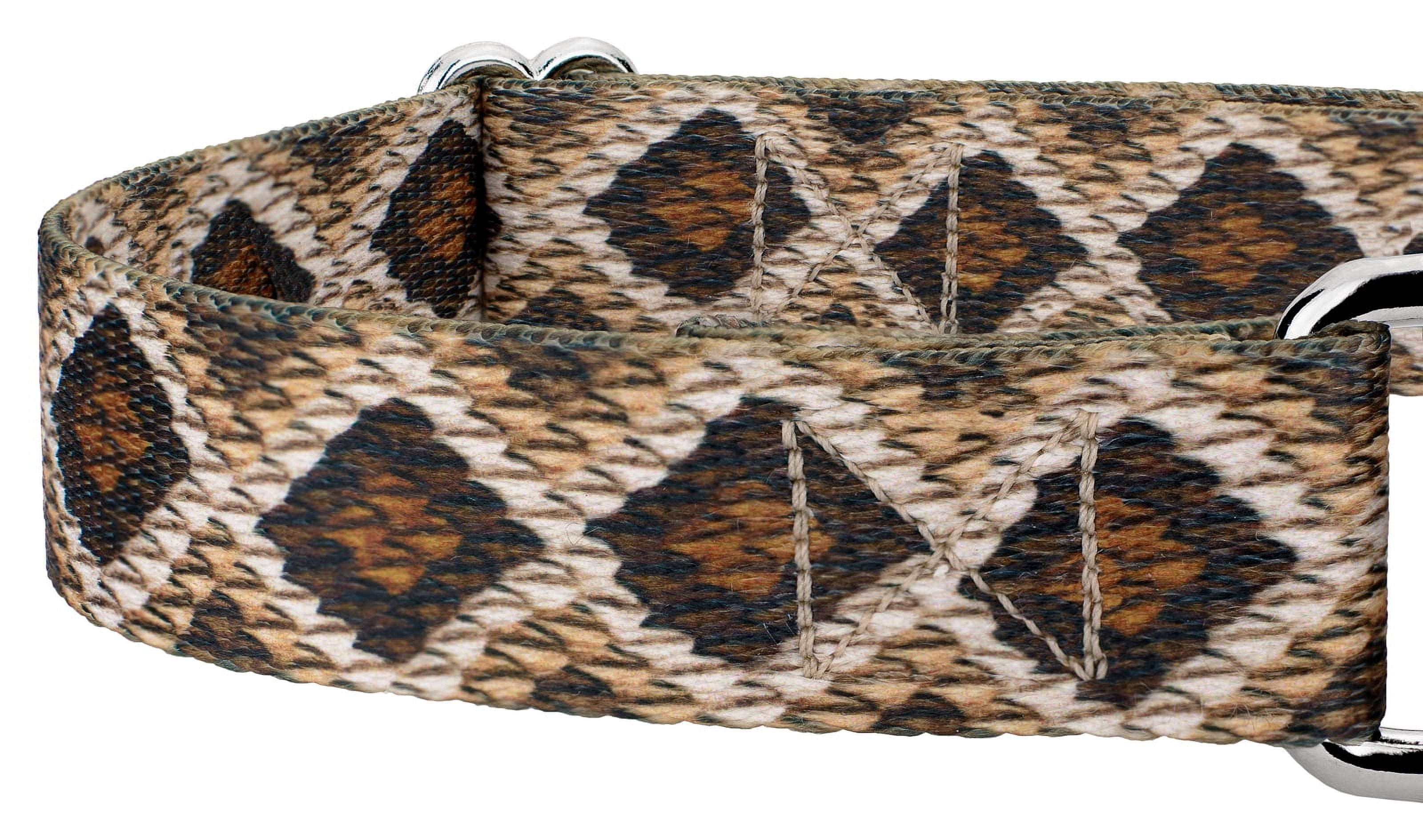 Country Brook Petz® Rattlesnake Martingale Dog Collar and Leash, Medium