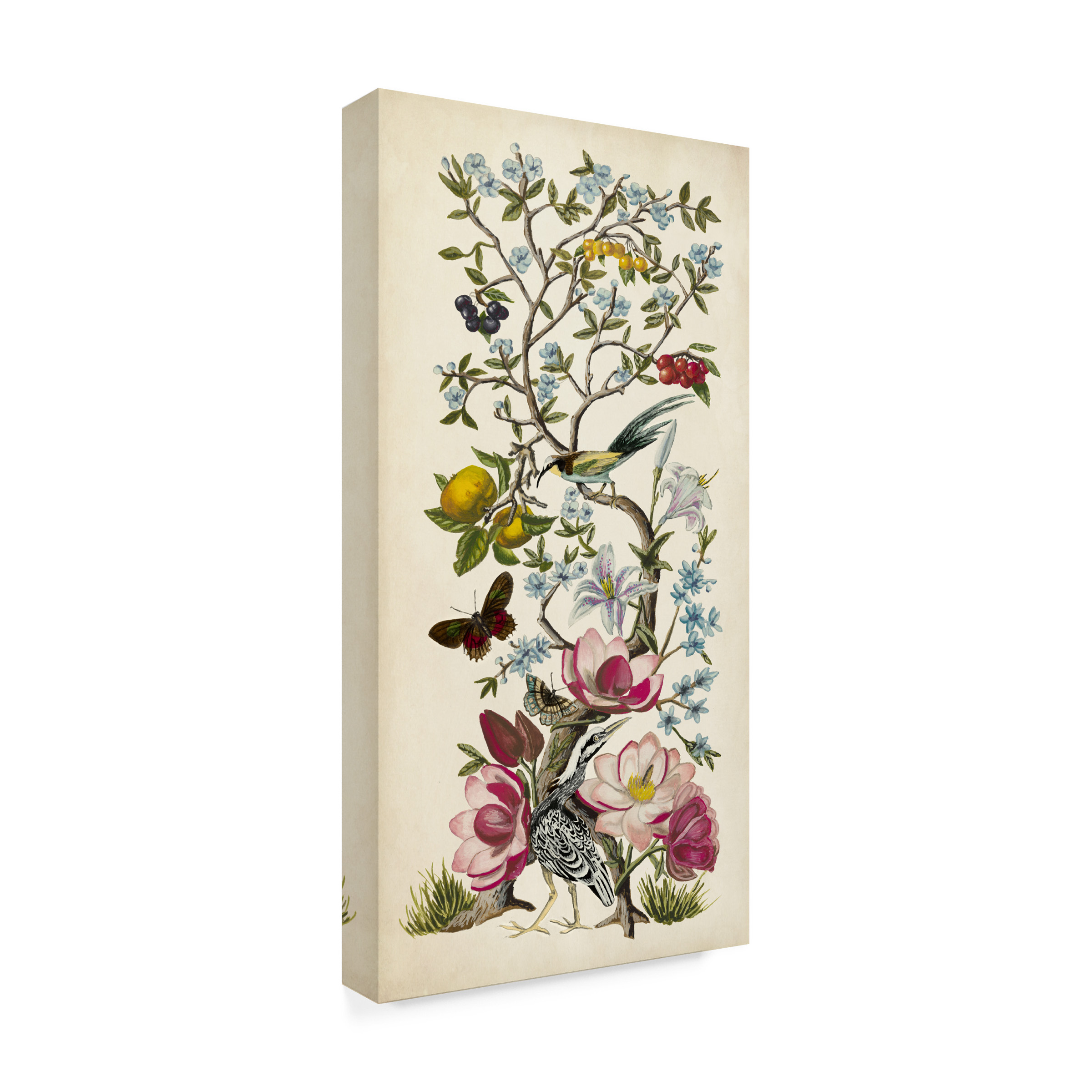 Trademark Fine Art Naomi McCavitt Chinoiserie Natura Ii Canvas Wall Art - 24x47