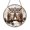 Acrylic 3.5 Inch, variant on Barred Owl Glass Suncatcher Window Ornament, Snowy Woodland Design, Rustic Wildlife Decor