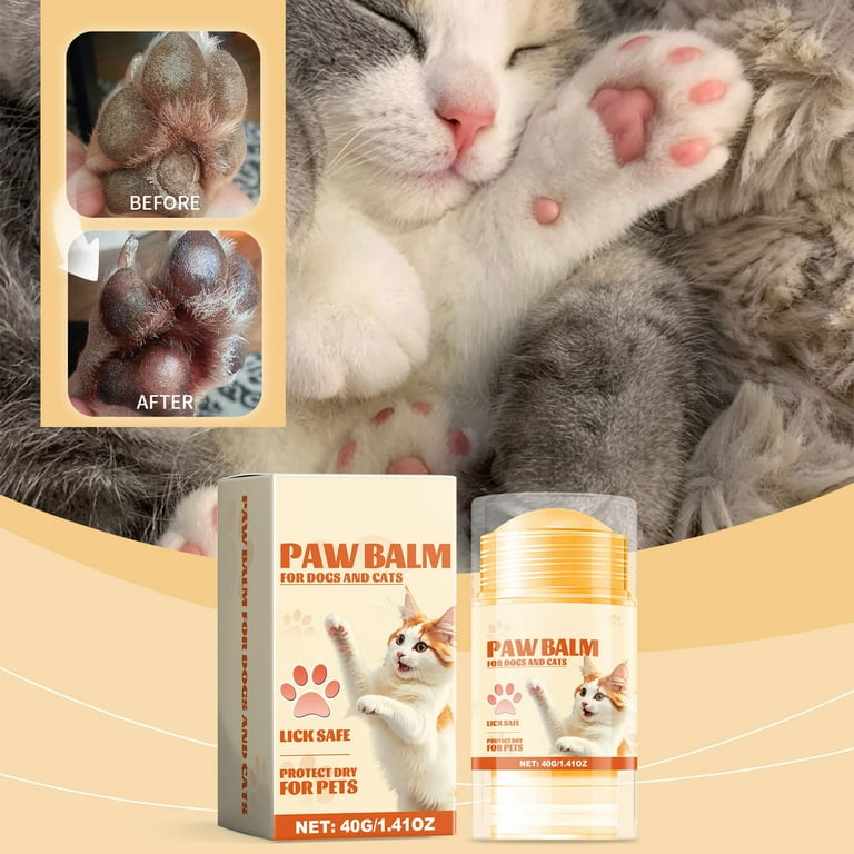 In Winter What Can You Give A Cat For A Cold Blanket Keeping Cats