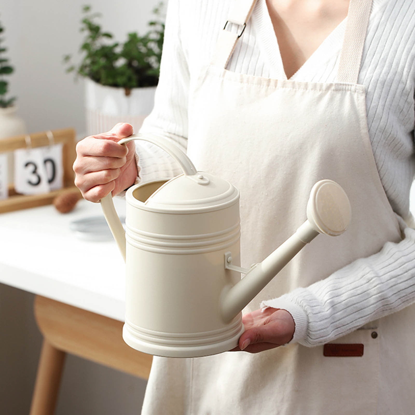 Watering Cans for House Garden Flower, Long Spout Water Can for Outdoor Watering 2 Gallon