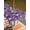 Purple, variant on Outdoor Tablecloth with Umbrella Hole and Zipper, Pink Halloween Rectangle Table Cloth 60x120 Inch Waterproof Tablecloth, Cat Bat Ghost Pumpkins Picnic Table Cover for Patio Camping