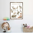 thumbnail image 6 of Woodland Animals Kids Room Decor | Montessori Wooden Poster | Homeschool I Educational Poster | Classroom Decor | Playroom Art - 310220, 6 of 11