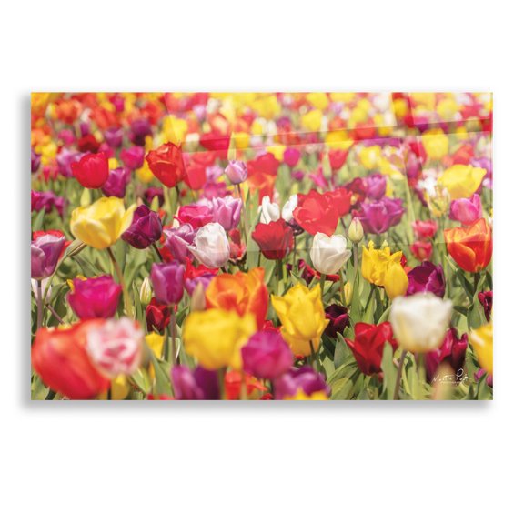 Epic Art 'Colorful Bouquet' by Martin Podt, Acrylic Glass Wall Art, 16"x12"