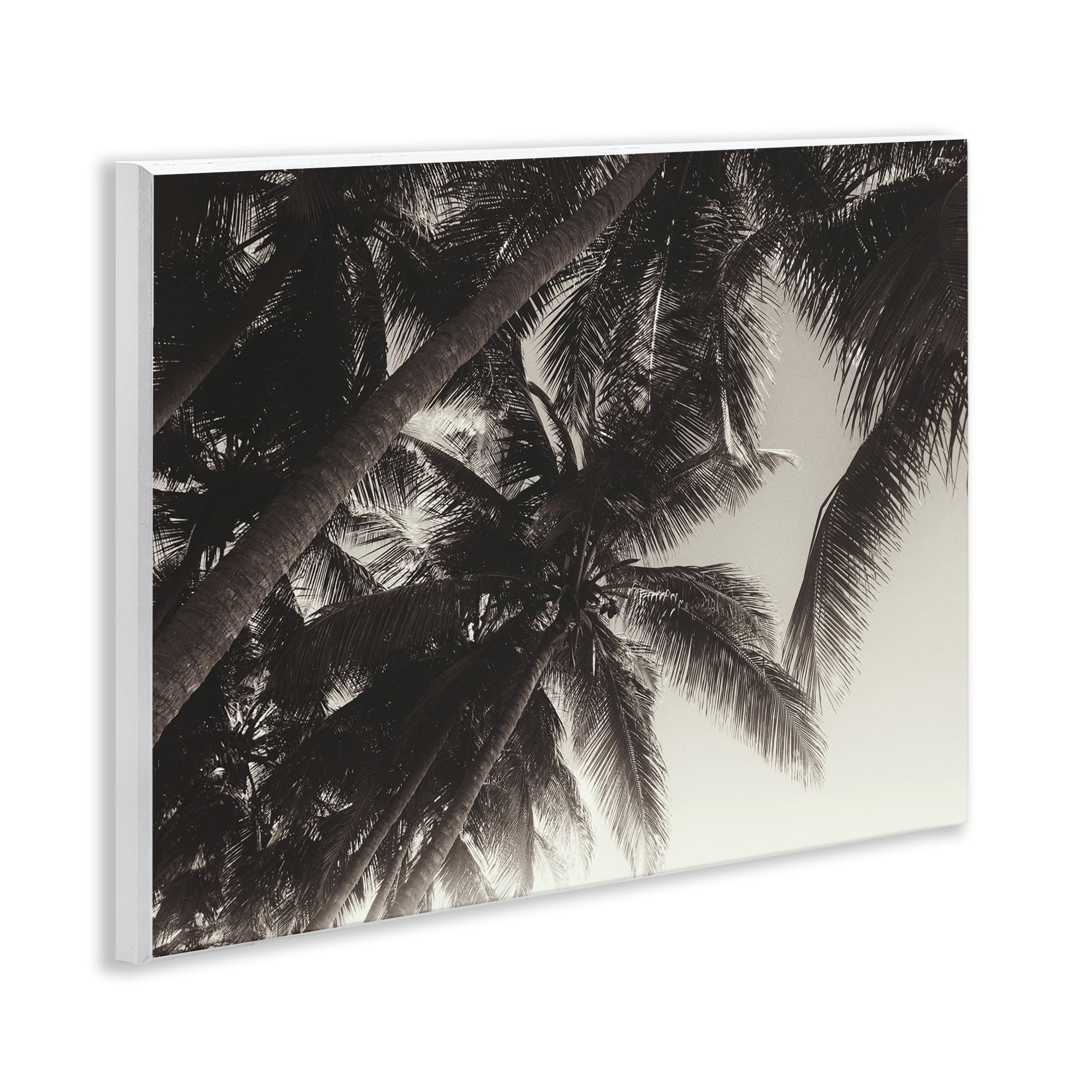 Stupell Industries Dark Palm Leaves Botanical & Floral Photography Unframed Art Print Wall Art, 14 x 11