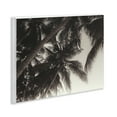 thumbnail image 4 of Stupell Industries Dark Palm Leaves Botanical & Floral Photography Unframed Art Print Wall Art, 14 x 11, 4 of 8