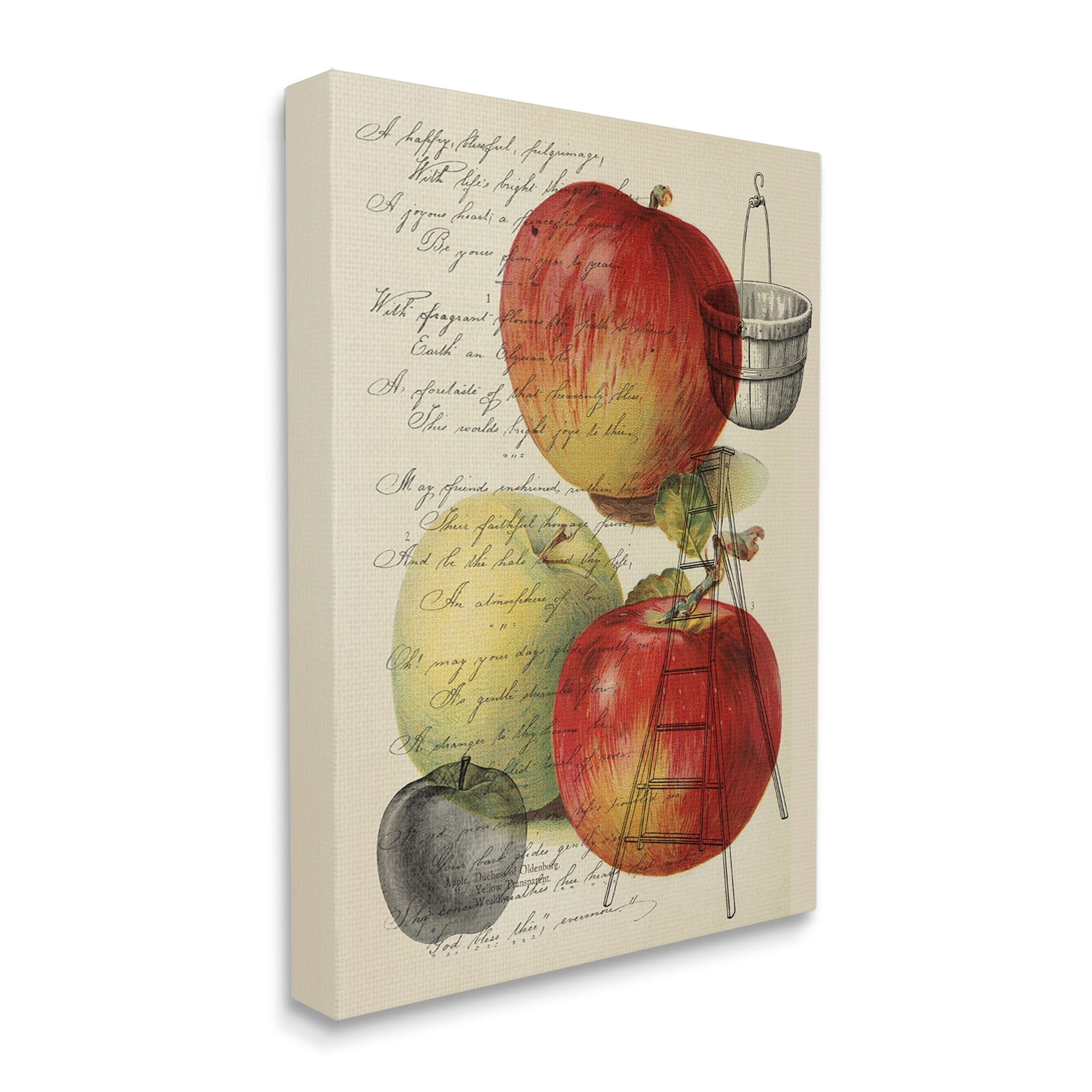 Stupell Industries Vintage Apple Picking Illustration Antique Text Passage, 30 x 40,Design by Daphne Polselli