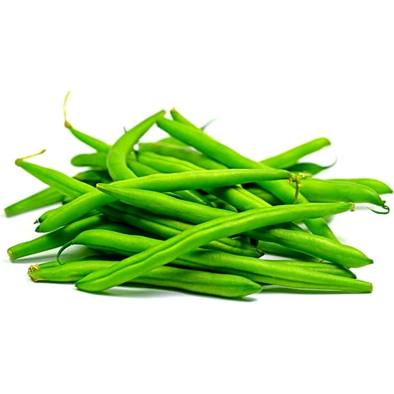 CZ Grain Provider 50  Green Bean Seeds Early Season, Non-GMO, Heirloom