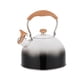 thumbnail image 1 of Hervidor de agua silbante con tapa de pico, olla para hervir agua, acero inoxidable negro, 1 of 9