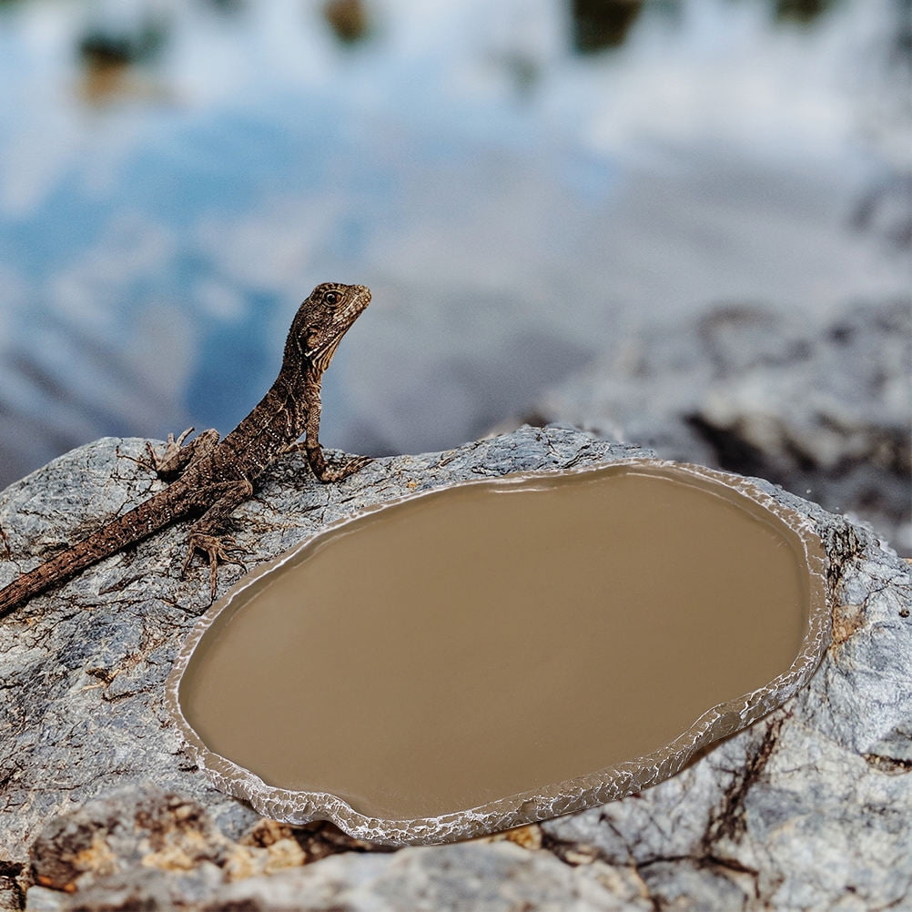 CHICHUMID 2Pcs Reptile Food Dishes Habitats Reptile Water Bowls Pet Feeding Dishes Lizard Supplies