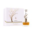 thumbnail image 1 of Perfume Aurora Scents Summer Eau de Parfum 100mL para Mujer, 1 of 6