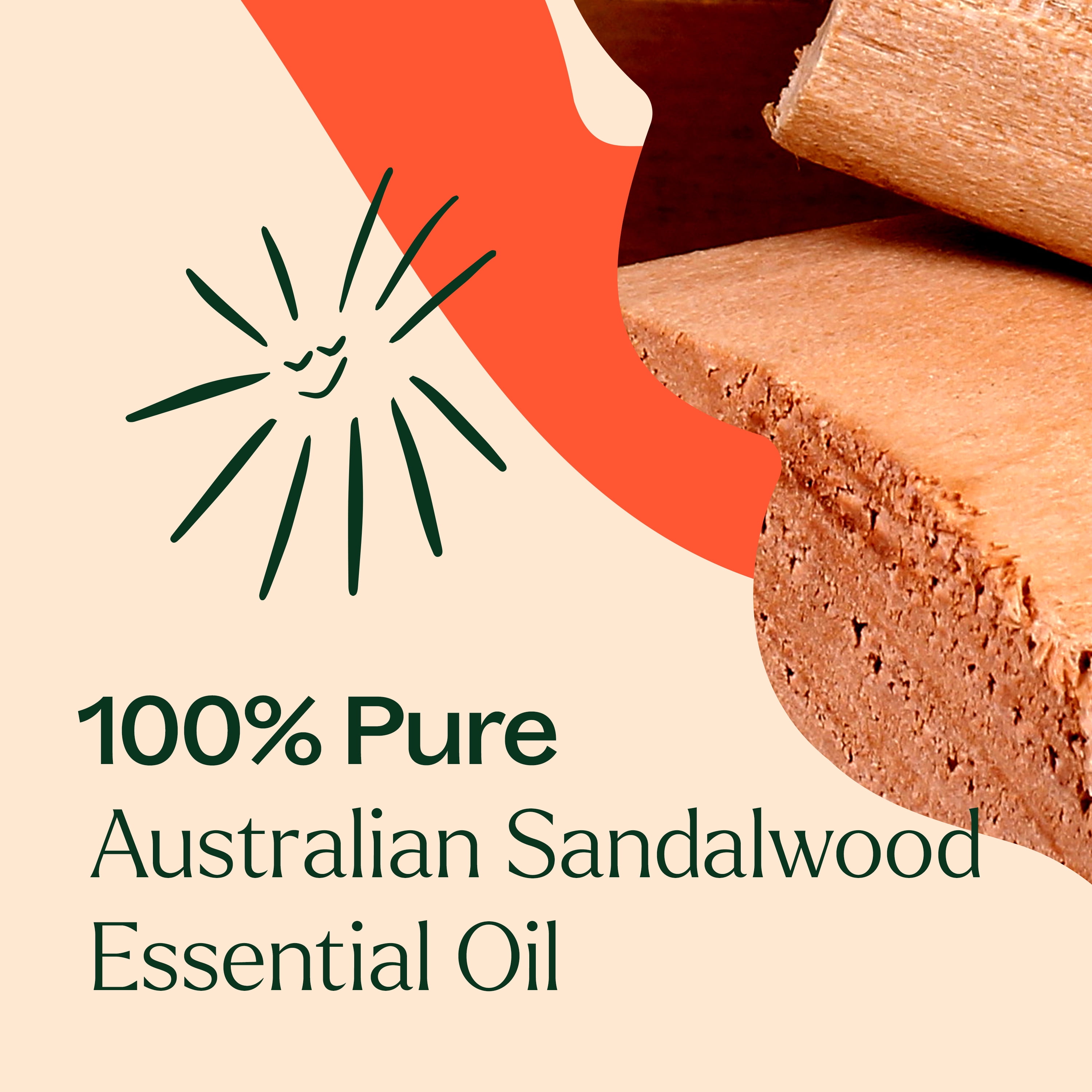 Plant Therapy Australian Sandalwood Essential Oil 100% Pure, Undiluted, Natural Aromatherapy for Diffusion and Body Care 10 mL (1/3 oz)