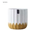 thumbnail image 4 of Cateissary Macetas de cerámica para decoración del hogar, macetas de cemento elegantes para interiores, macetas de flores profundas para macetas Jardín y Patio blanco amarillo 12*12*13, 4 of 6