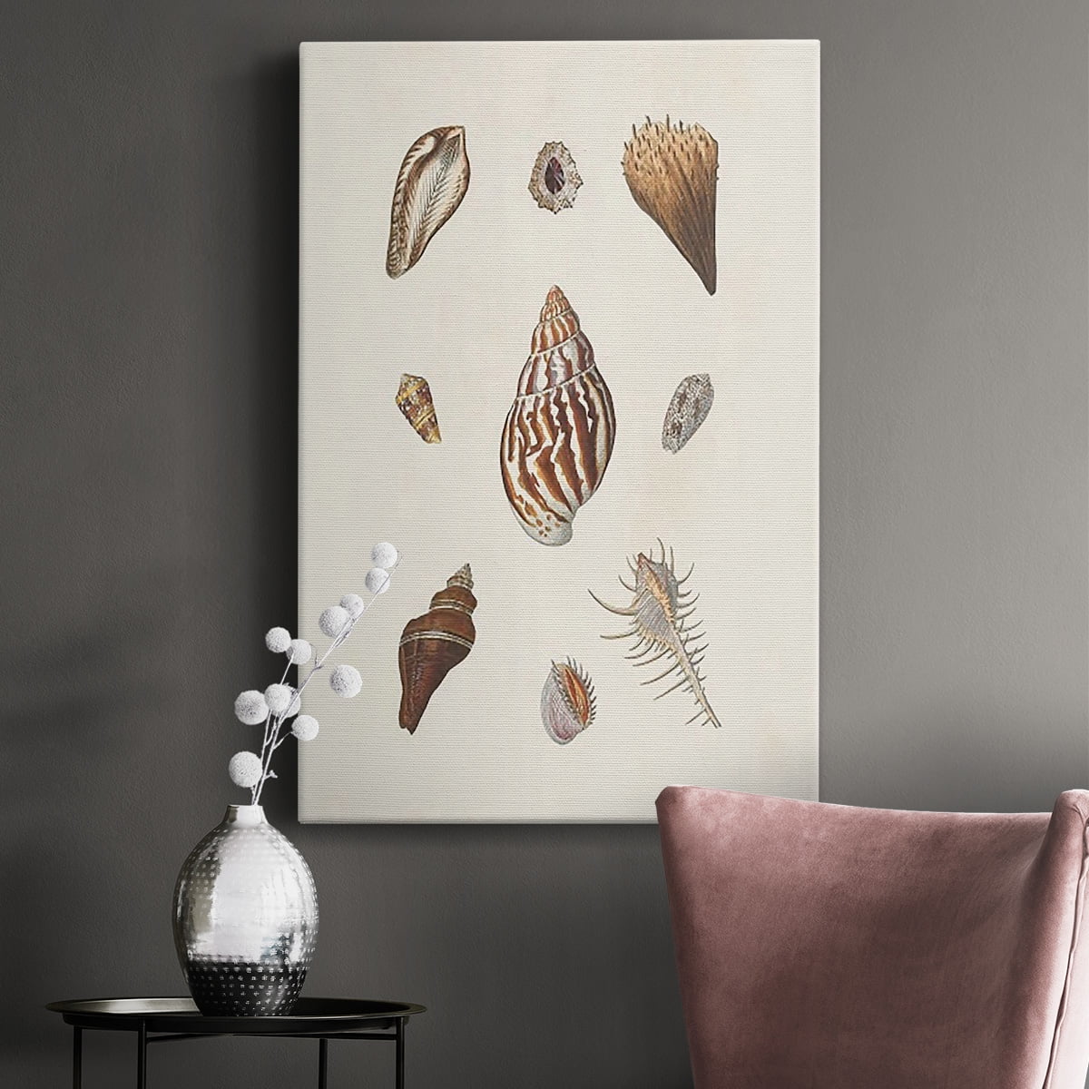Knorr Shells & Coral IX Premium Gallery Wrapped Canvas - Ready to Hang