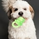 thumbnail image 5 of 2 uds mordedor para mascotas, juguete masticable, juguete de dentición colorido, juguete interactivo, herramienta de dentición para perros, 5 of 5
