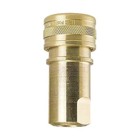 Foster Brass Socket,1/4"x1/4"FPT H2B